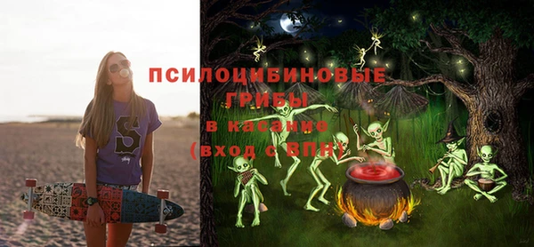 PSILOCYBIN Арсеньев