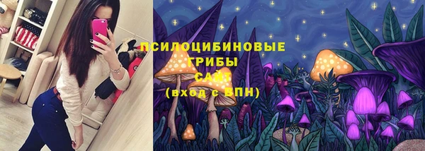 PSILOCYBIN Ростов