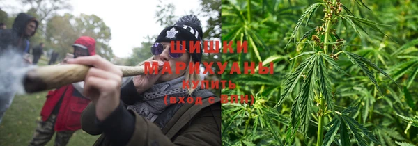 PSILOCYBIN Арсеньев